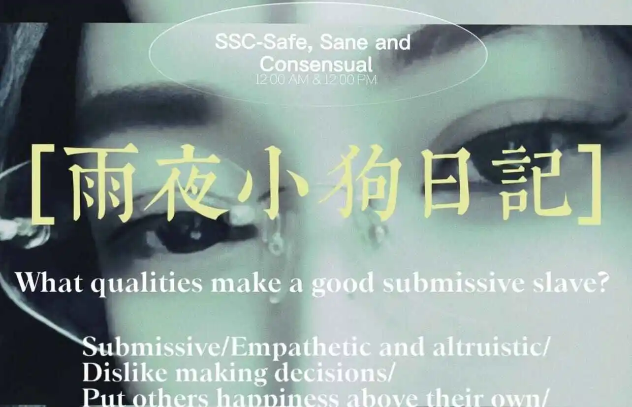 西檬之家字母圈中的S属性是什么?如何理解其角色与意义? 一