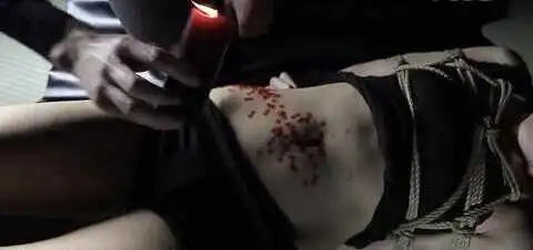 西檬之家Dom是什么? 一
