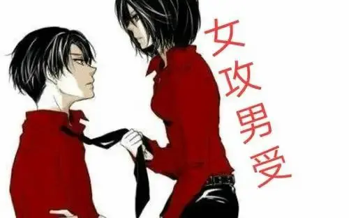 西檬之家k8是什么?字母圈猫系属性解析 一