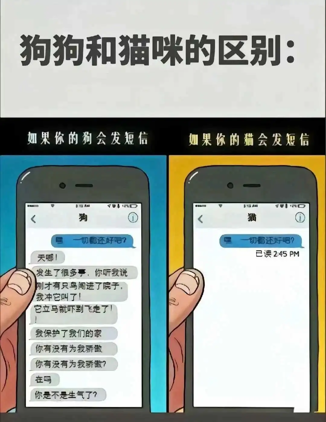 西檬之家字母圈女王是什么意思? 一