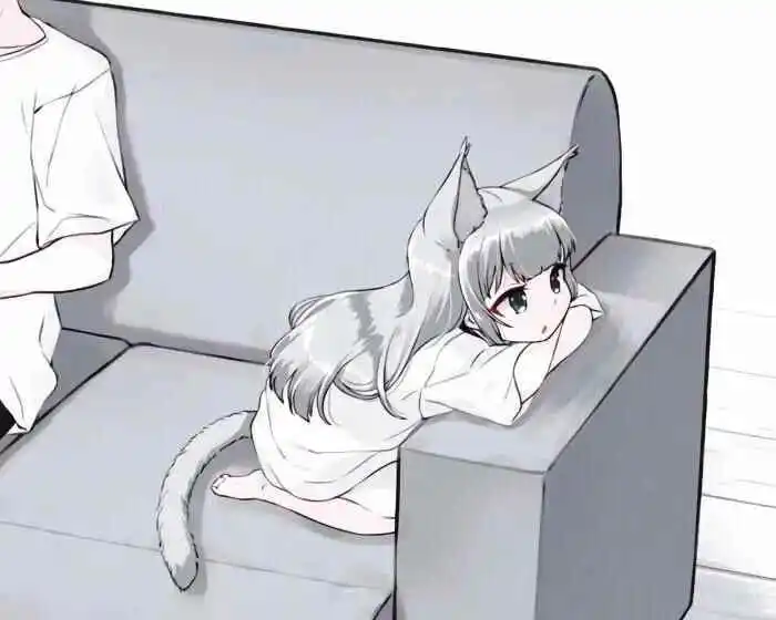 西檬之家k8猫系是什么? 一