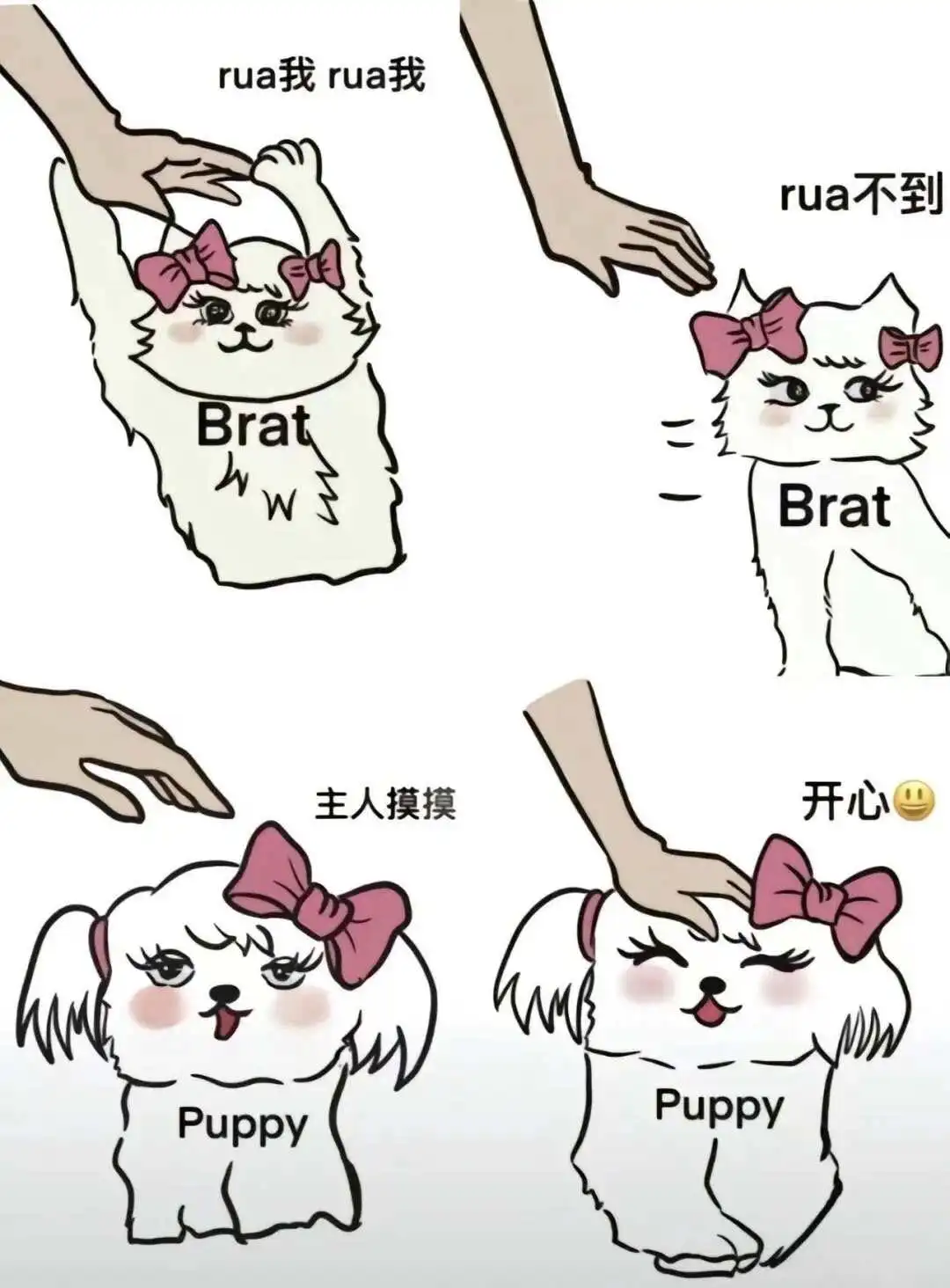 西檬之家s属性是什么意思?字母圈新人入圈 一