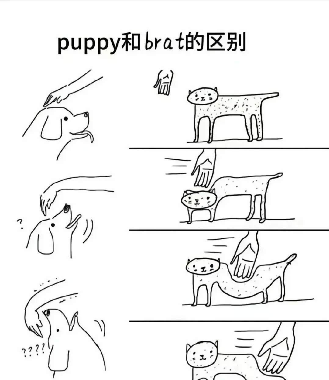 西檬之家字母圈入圈指南 一