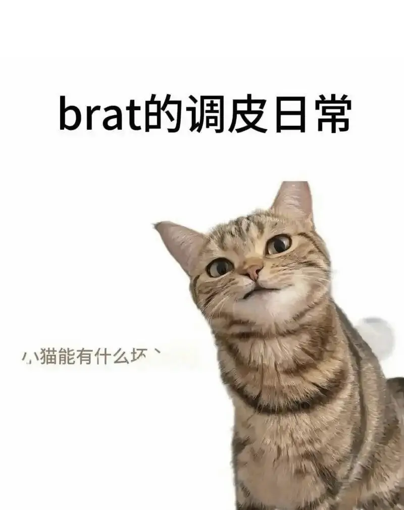 西檬之家sm亚文化入门指南 一