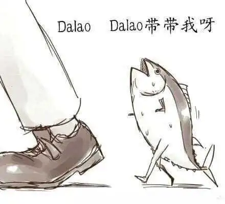 西檬之家k9是什么? 一