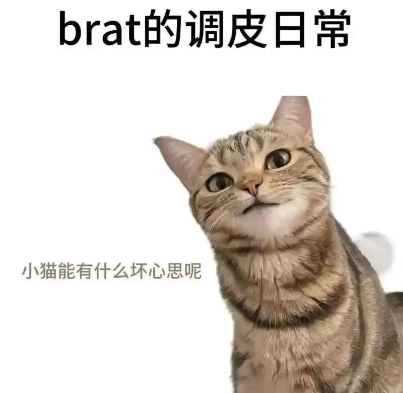 西檬之家BDSM是什么? 一