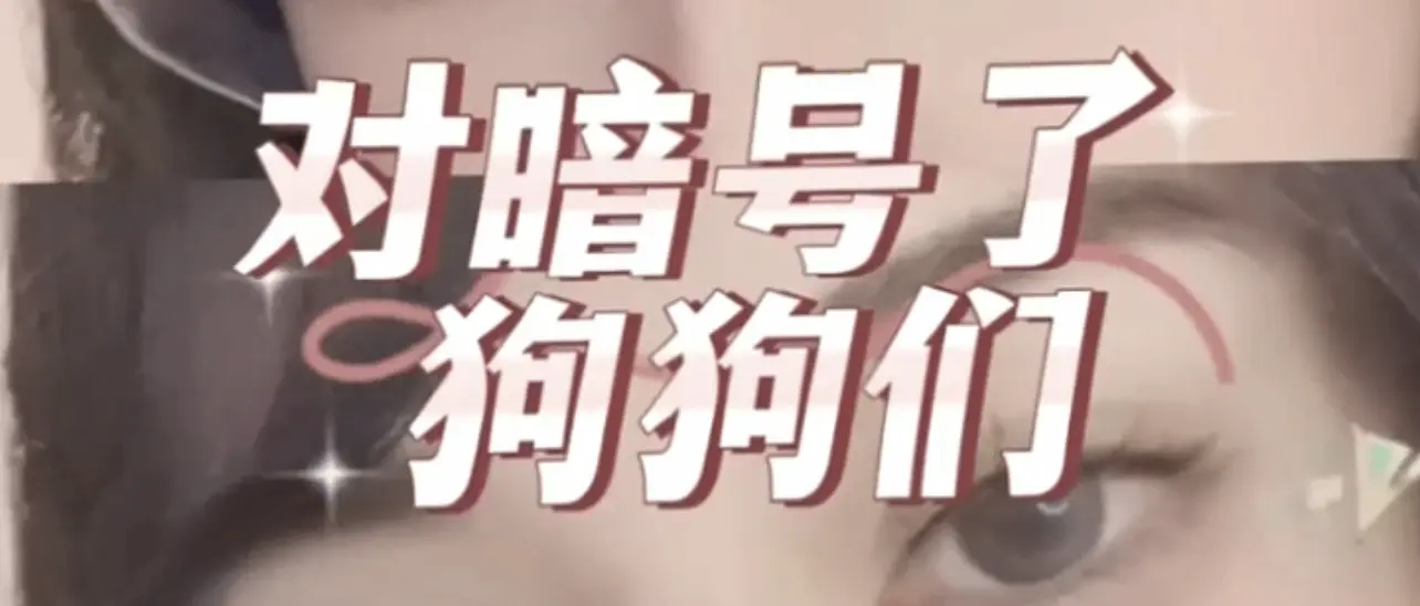西檬之家字母圈K9是什么? 一