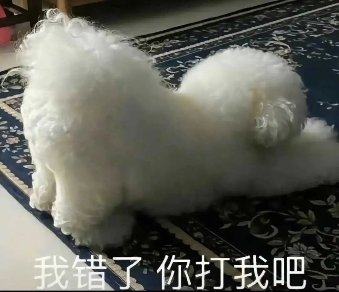 西檬之家字母圈圣水怎么玩? 一